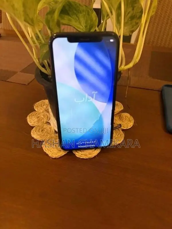 Apple iPhone 11 Pro Gray Colour (Used)