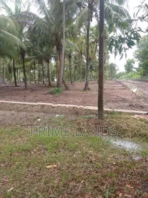 අඹගස්වැව නේවාසික සහ ව්‍යාපාරික බිම් කොටස් විකිණීමට
