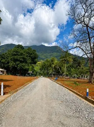 Land For Sale in Aluwihare Matale