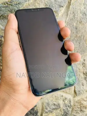 Apple iPhone X (Used)