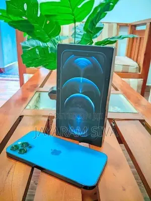 Apple iPhone 12 Pro Max (Used)