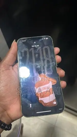 Apple iPhone 13 Pro Max (Used)
