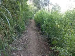 Land for Sale Diyatalawa