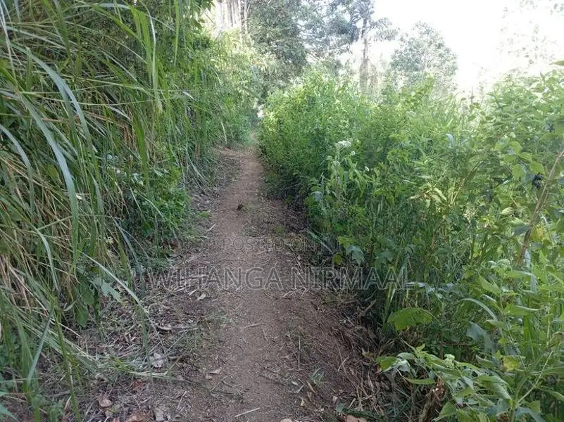 Land for Sale Diyatalawa