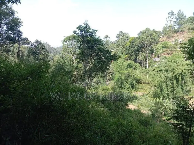 Land for Sale Diyatalawa