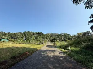 Land for Sale in Ukuwela