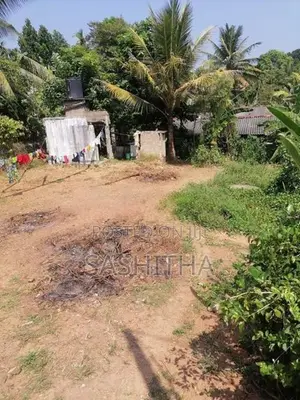 ඉඩම විකිණීමට රාගම