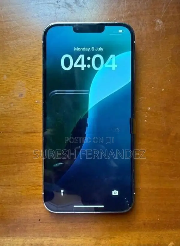 Apple iPhone 13 Pro Max (Used)