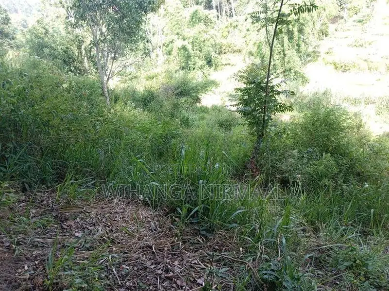 Land for Sale Diyatalawa