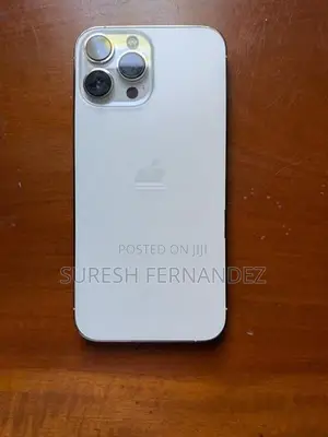 Apple iPhone 13 Pro Max (Used)