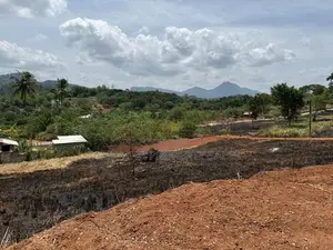 Land for sale in Palapathwela,
