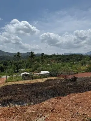 Land for sale in Palapathwela,