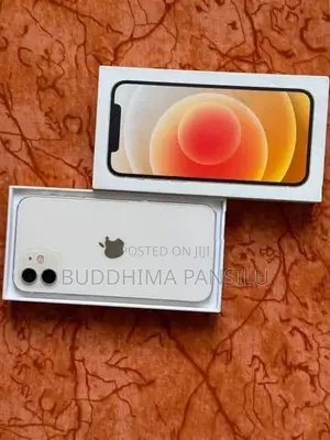 Apple iPhone 12 (Used)