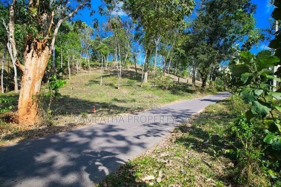 කයිකාවල සාරද මාවතට මුහුණලා ඉඩමක්