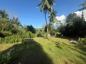 මාතලේ ඉඹුලන්දන්ඩෙන් අගනා බිම් කොටස්