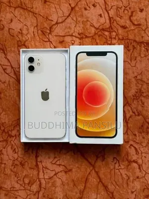 Apple iPhone 12 (Used)