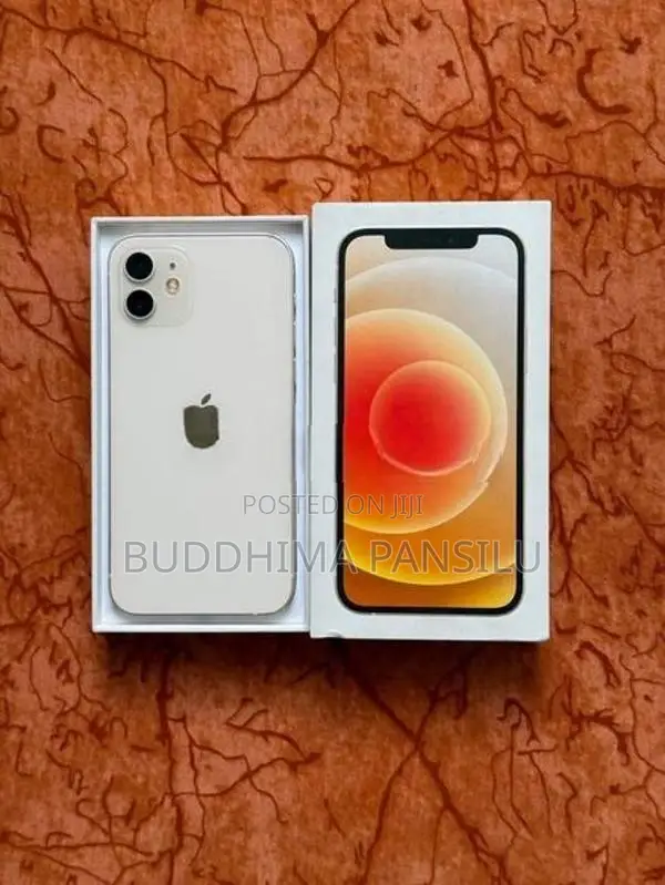 Apple iPhone 12 (Used)