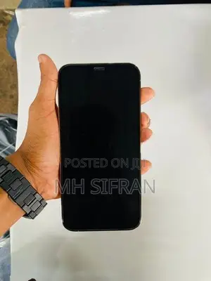 Apple iPhone 12 Pro Max (Used)