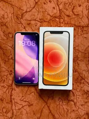 Apple iPhone 12 (Used)