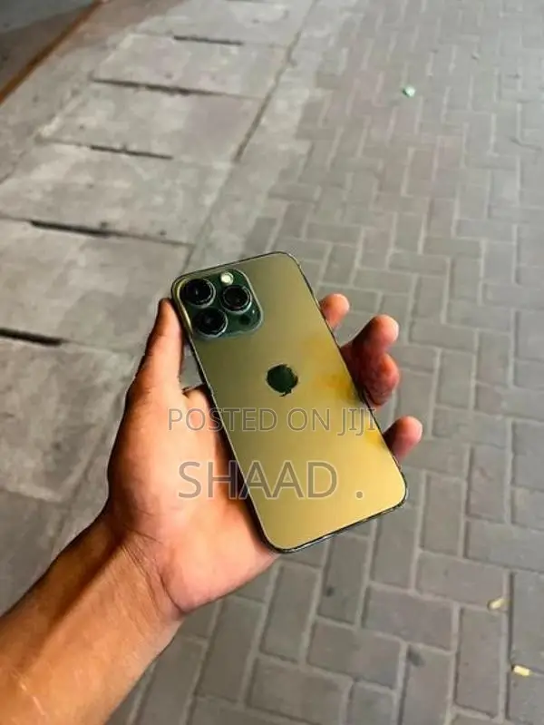 Apple iPhone 13 Pro (Used)