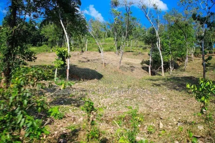 කයිකාවල සාරද මාවතට මුහුණලා ඉඩමක්