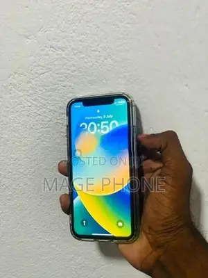 Apple iPhone X 256GB (Used)