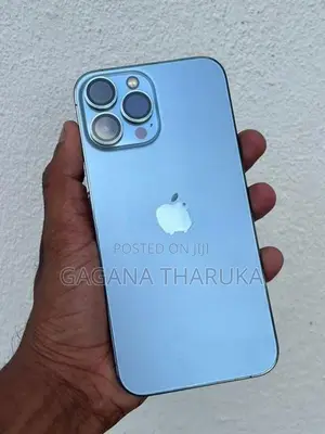 Apple iPhone 13 Pro Max (Used)