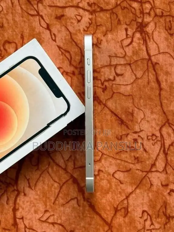 Apple iPhone 12 (Used)