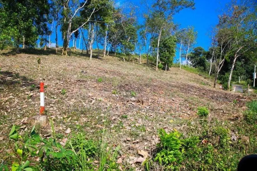 කයිකාවල සාරද මාවතට මුහුණලා ඉඩමක්