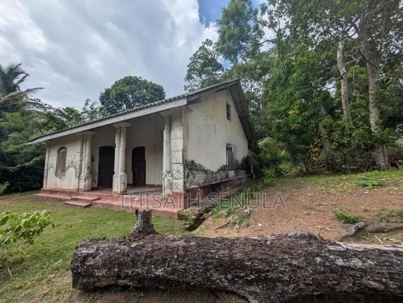 Talpe Main Road Beachside Land