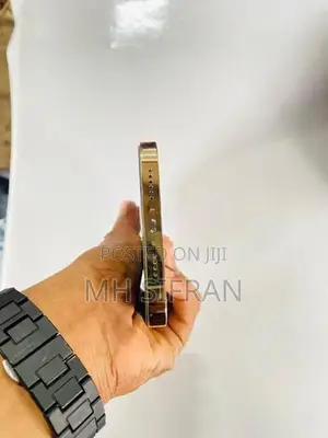 Apple iPhone 12 Pro Max (Used)
