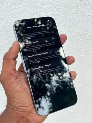 Apple iPhone 13 Pro Max (Used)