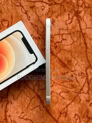 Apple iPhone 12 (Used)