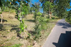 කයිකාවල සාරද මාවතට මුහුණලා ඉඩමක්