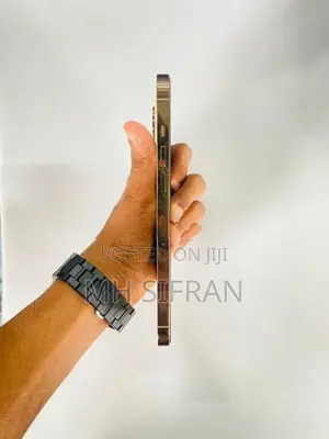Apple iPhone 12 Pro Max (Used)