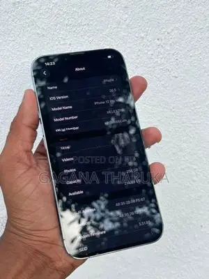 Apple iPhone 13 Pro Max (Used)