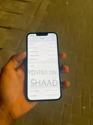 Apple iPhone 13 Pro (Used)