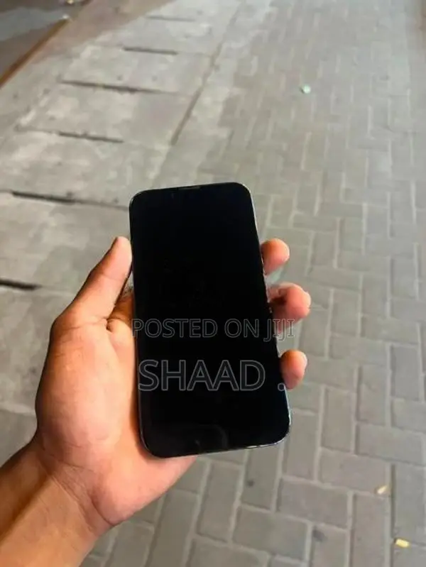 Apple iPhone 13 Pro (Used)