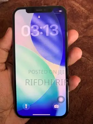 Apple iPhone 12 Pro (Used)