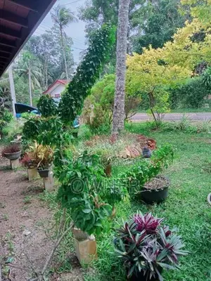වටිනා ඉඩමක් විකිණීමට Ja Ela