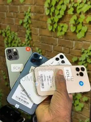 Apple iPhone 12 Pro 256GB (Used)