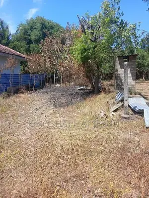 Land for Sale in Chunnakam