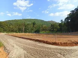 අලව්ව නගරයෙන් ඉඩමක් විකිණීමට