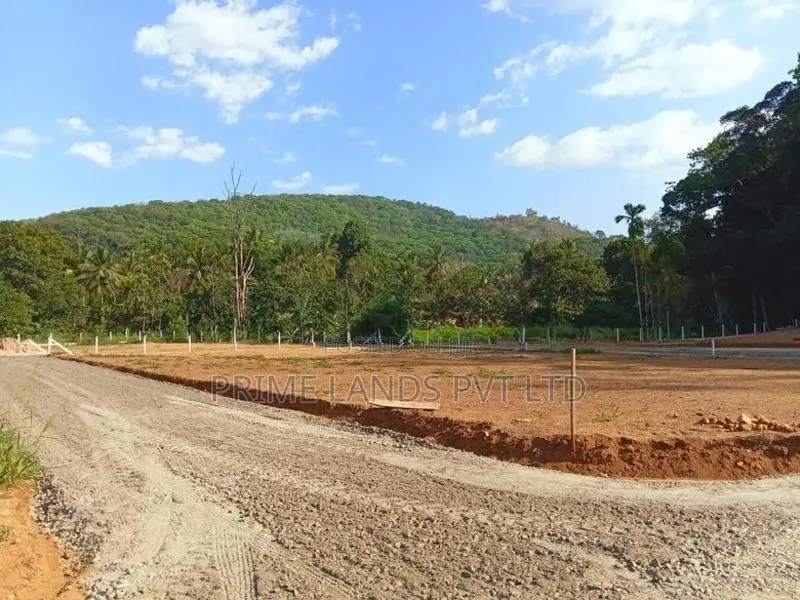 අලව්ව නගරයෙන් ඉඩමක් විකිණීමට