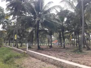 පාදෙණිය මහව ප්‍රධාන පාරෙන් ඉඩමක් විකිණීමට