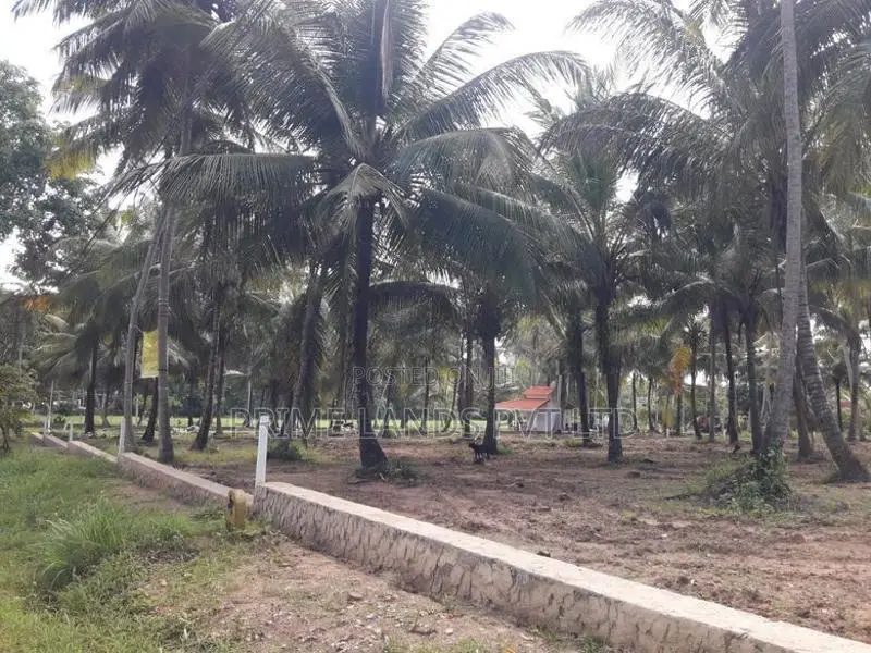 පාදෙණිය මහව ප්‍රධාන පාරෙන් ඉඩමක් විකිණීමට