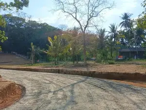 අලව්ව නගරයෙන් ඉඩමක් විකිණීමට