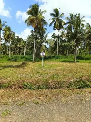නාරම්මල ඉඩමක් විකිණීමට