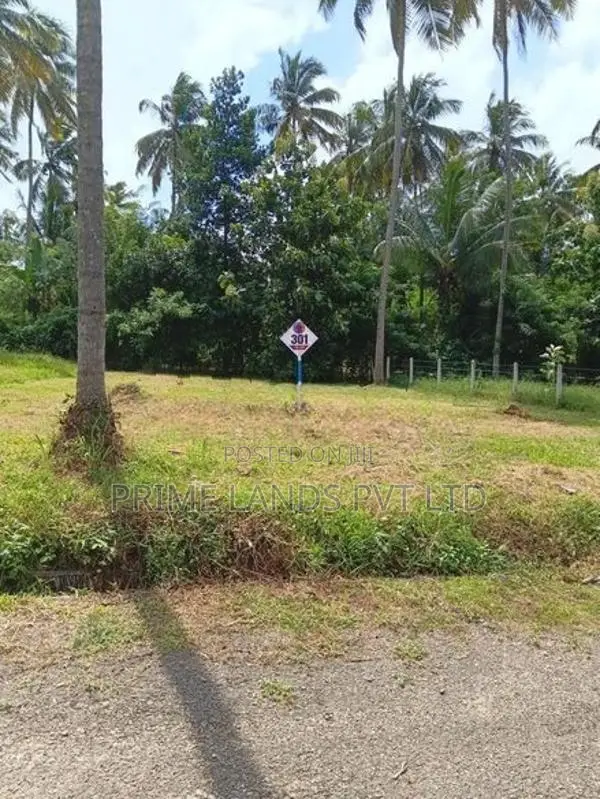 නාරම්මල ඉඩමක් විකිණීමට