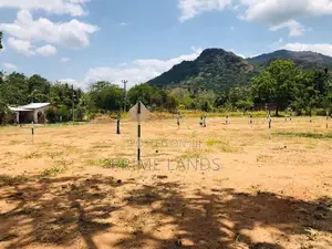 දඹූල්ල මාතලේ පාරෙන් බිම් කොටස්, පන්නම්පිටිය හන්දිය